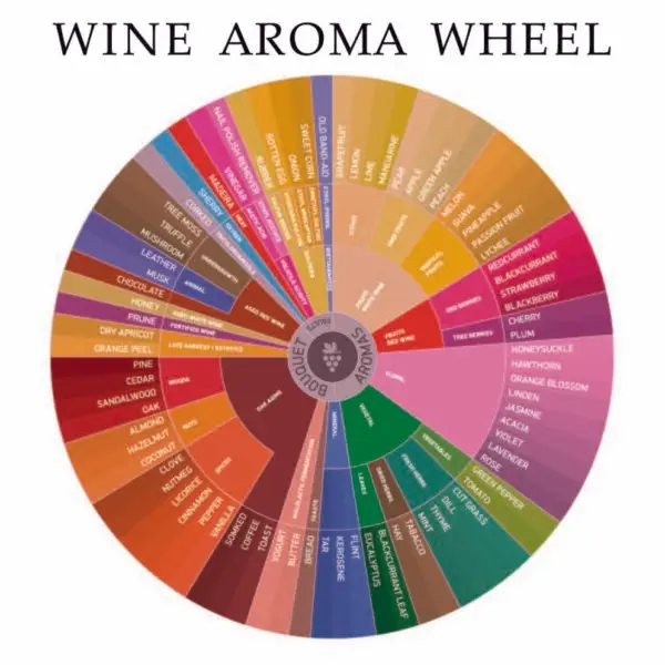 Wine Aroma Wheel