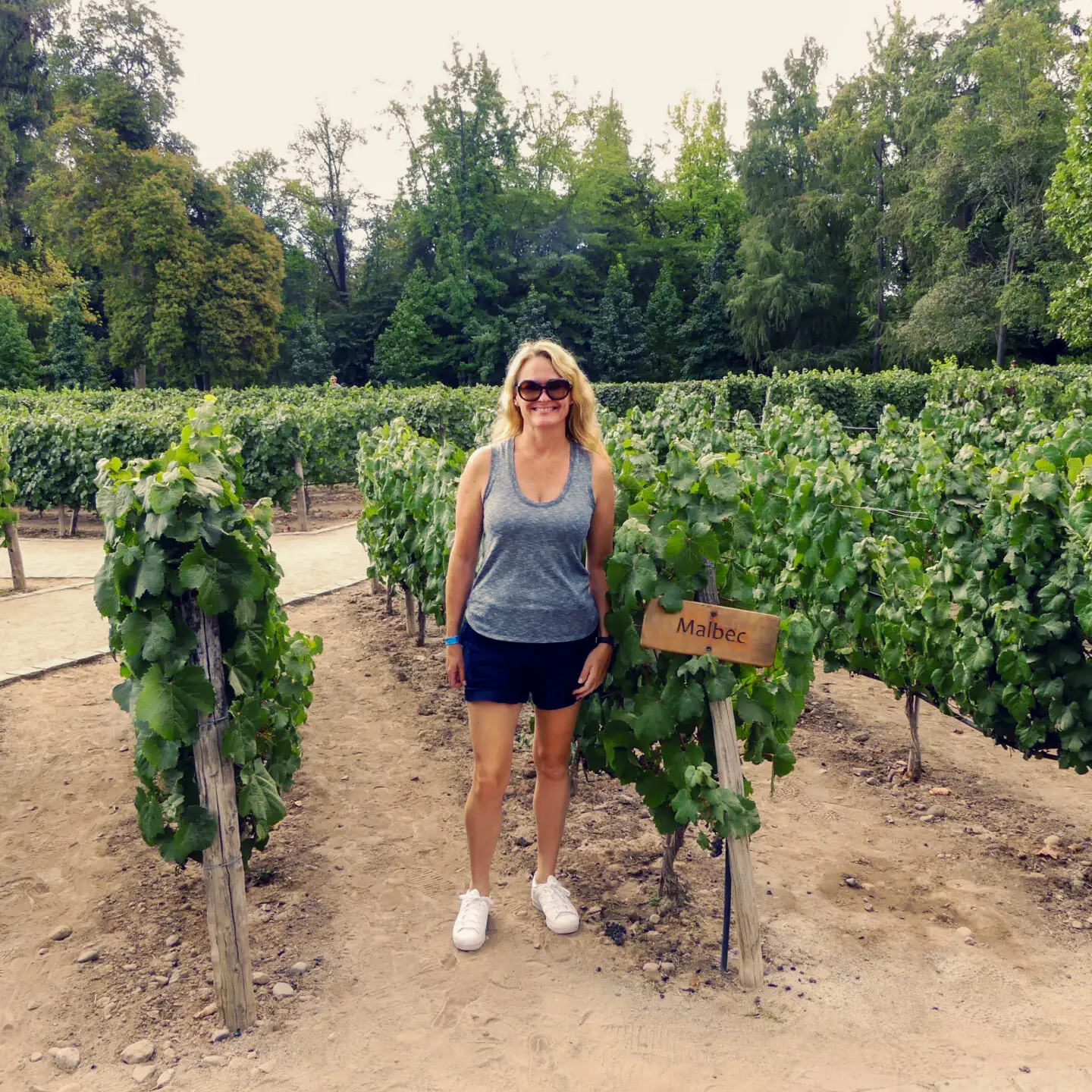 Nicole Santiago Winery