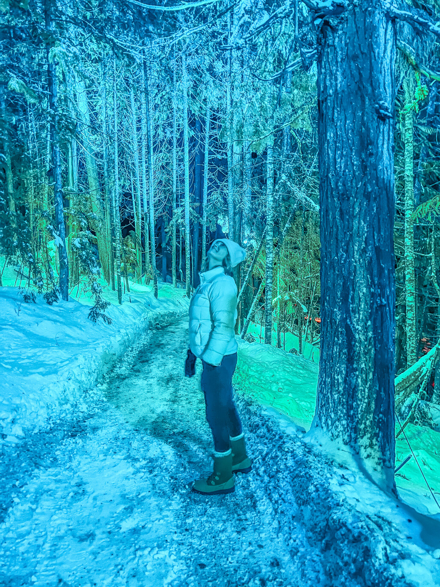 Glowing lights and snow-covered trees along the Vallea Lumina nighttime forest walk in Whistler.