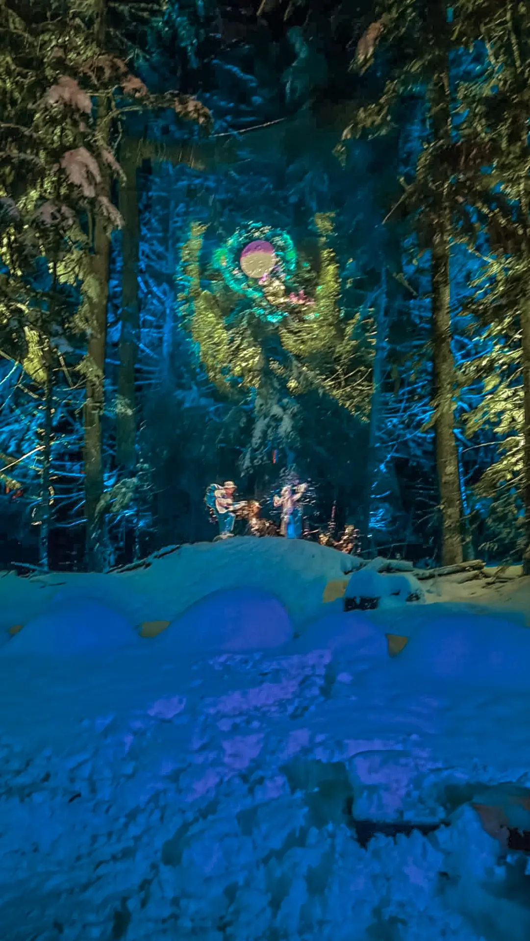 Glowing lights and snow-covered trees along the Vallea Lumina nighttime forest walk in Whistler.