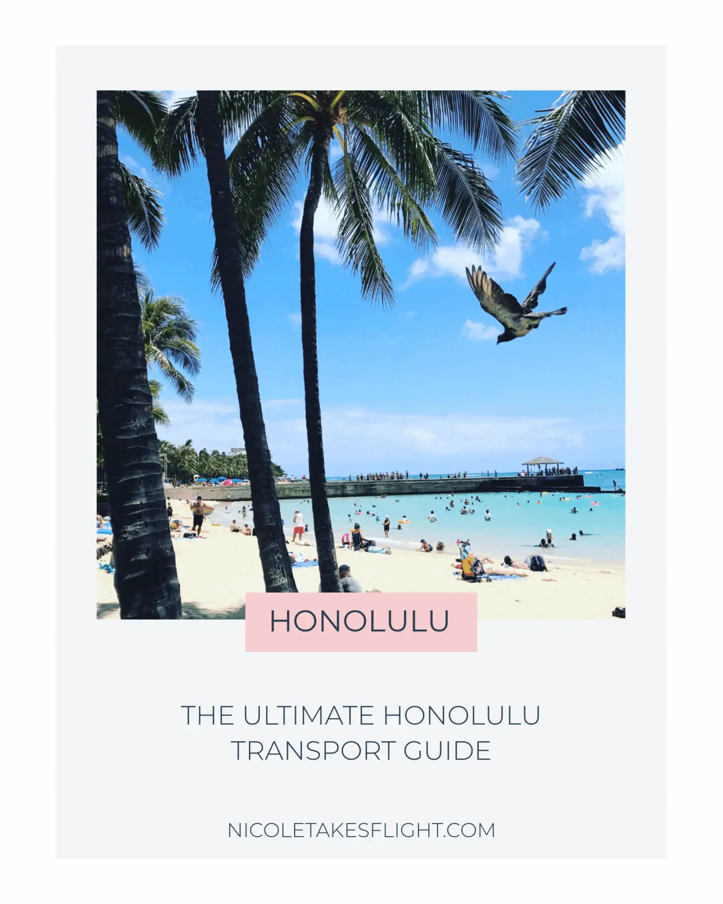 HONOLULU TRANSPORT GUIDE