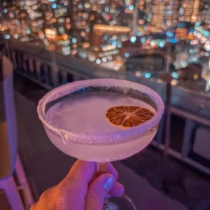 Santiago rooftop view