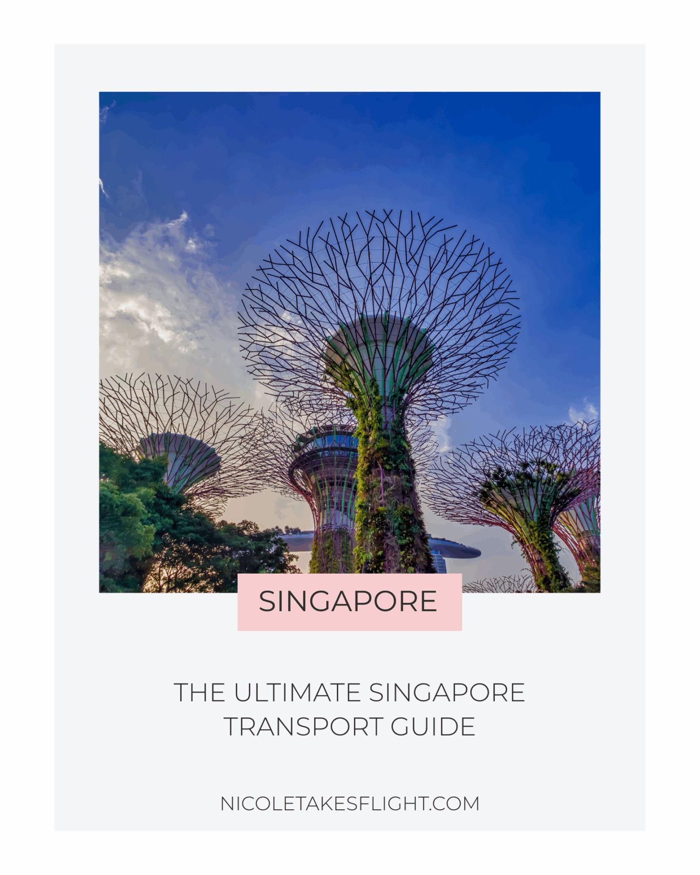 SINGAPORE TRANSPORT GUIDE