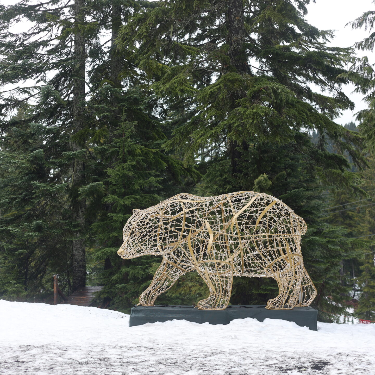 Grouse Mountain light sculpture of a bear