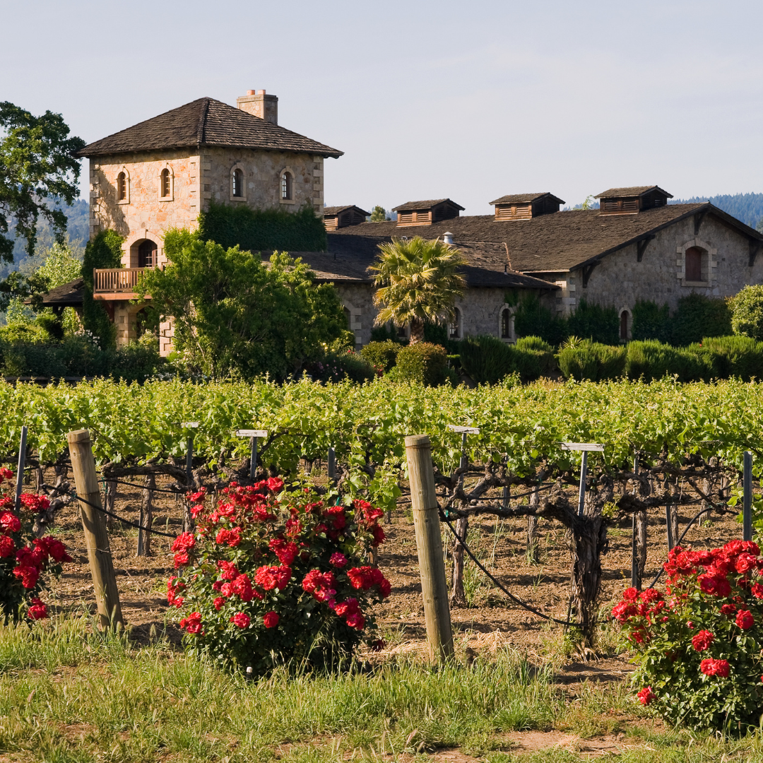 Napa Valley Wine Region Winery